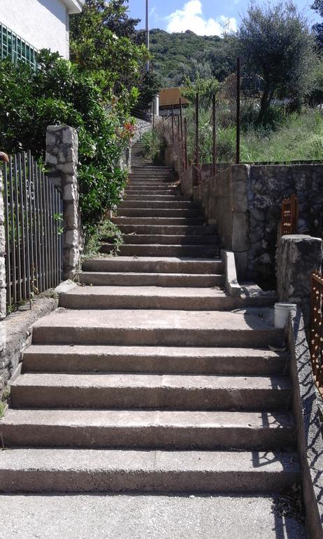 Apartman Marinkovic Dobra Voda Extérieur photo